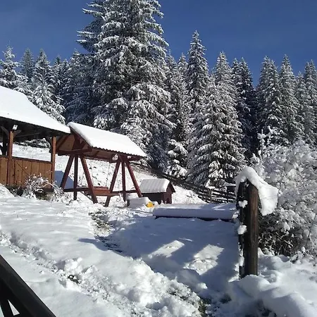 у яни * يابلونيتسيا