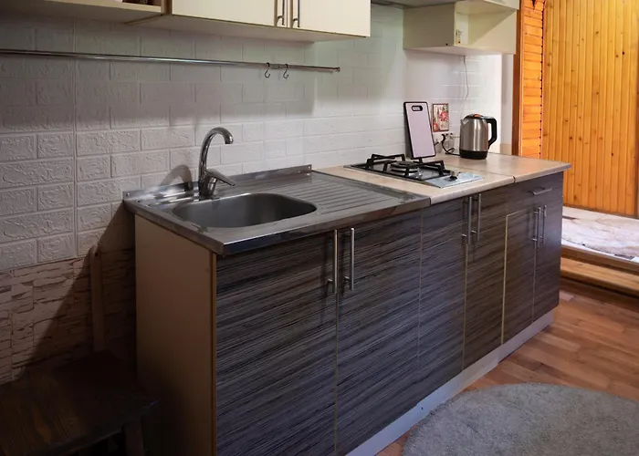 у яни Апартаменты Яблоница