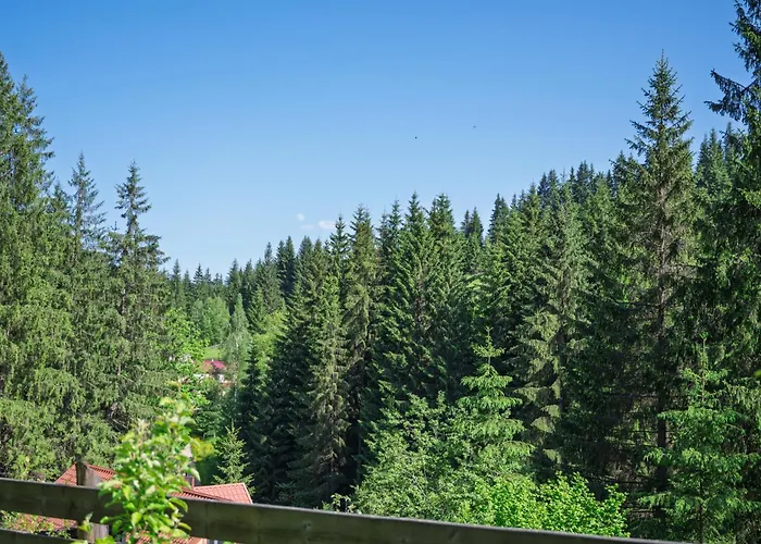 у яни Апартаменты